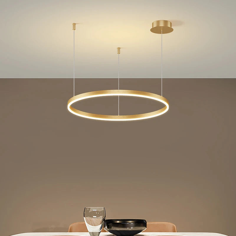 Modern Ceiling Chandelier Circular Ring